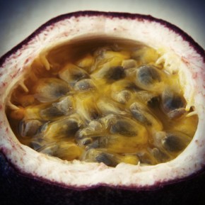 Passion Fruit