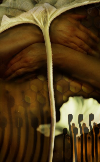 Hand Me Down Hand Me Down