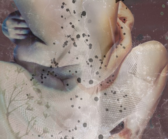 Both and Fickle Both and Fickle