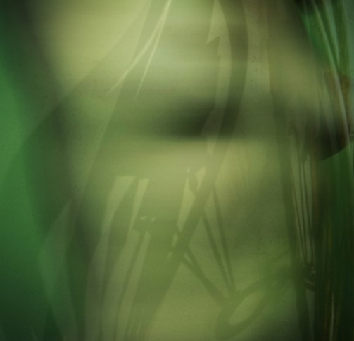 Wanting Flight Wanting Flight