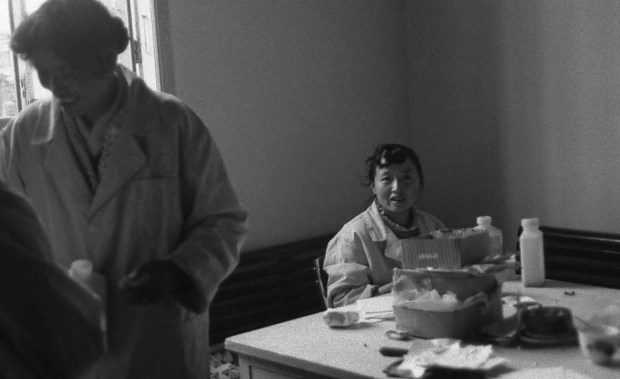 Chinese Herbalists at Work