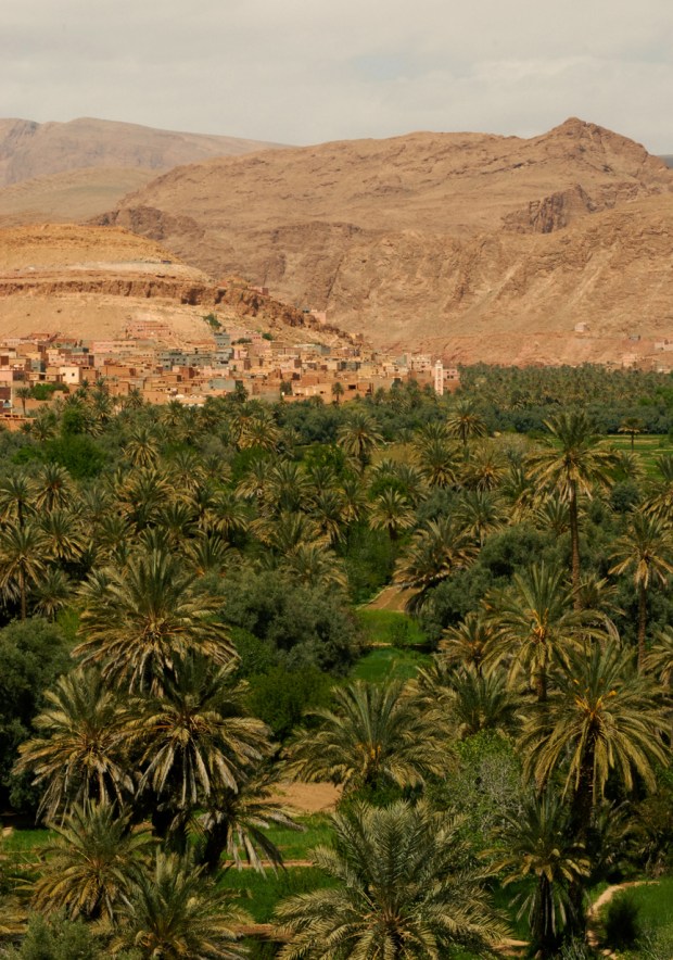 Oasis, Dades Gorge Area