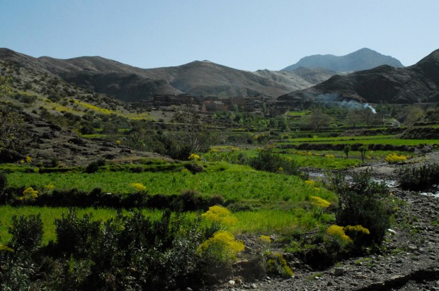 Farmland in the Atlas Foothills