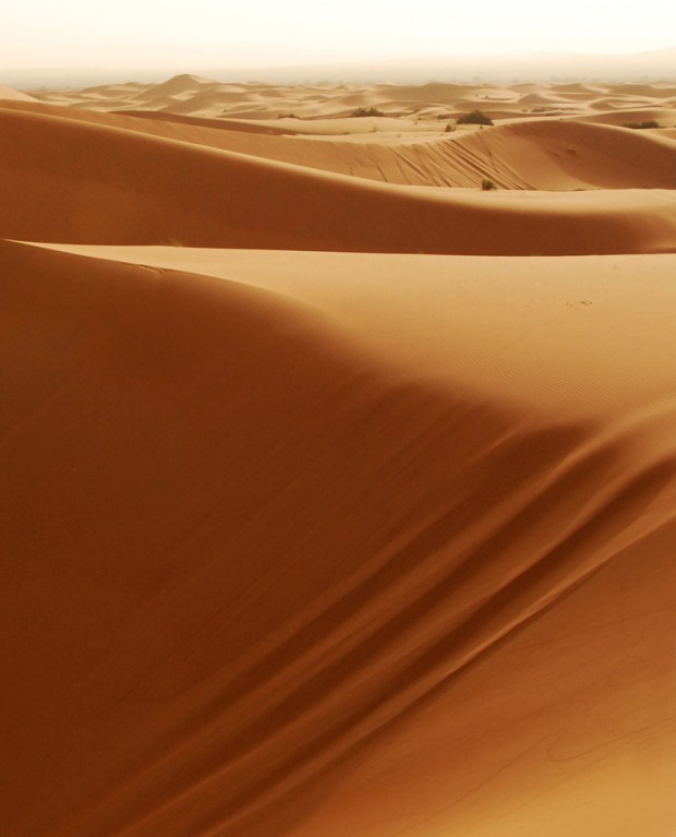 Merzhouga Dunes, Sahara