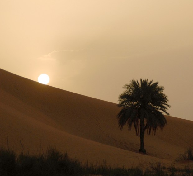 Sunrise in the Sahara