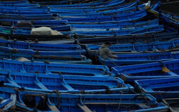 Blue Boats, Essaouira