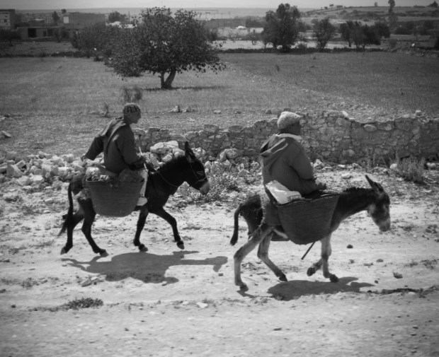 The Highway to the Coast