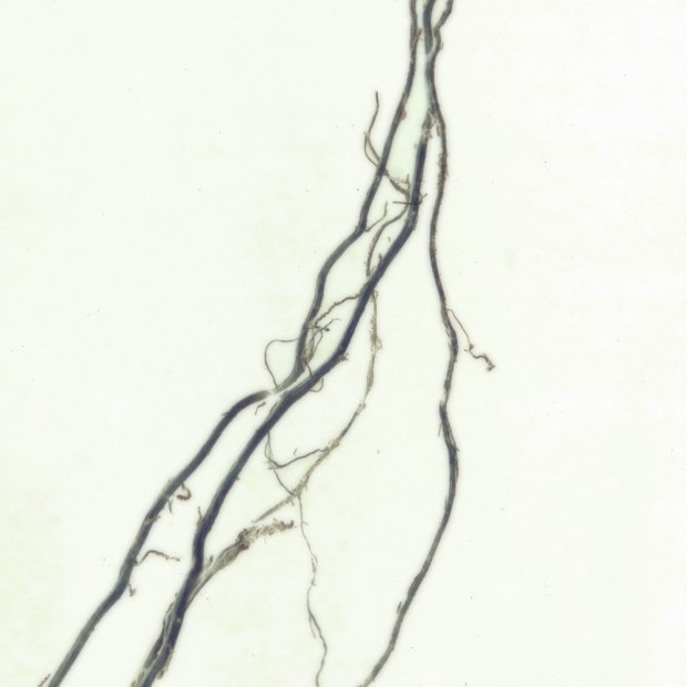 root2alt