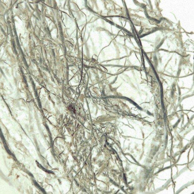 root3alt
