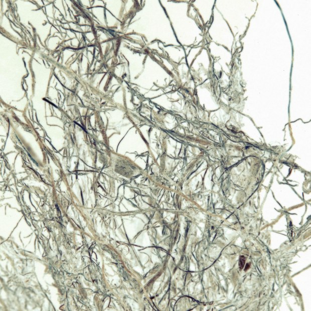 root9alt
