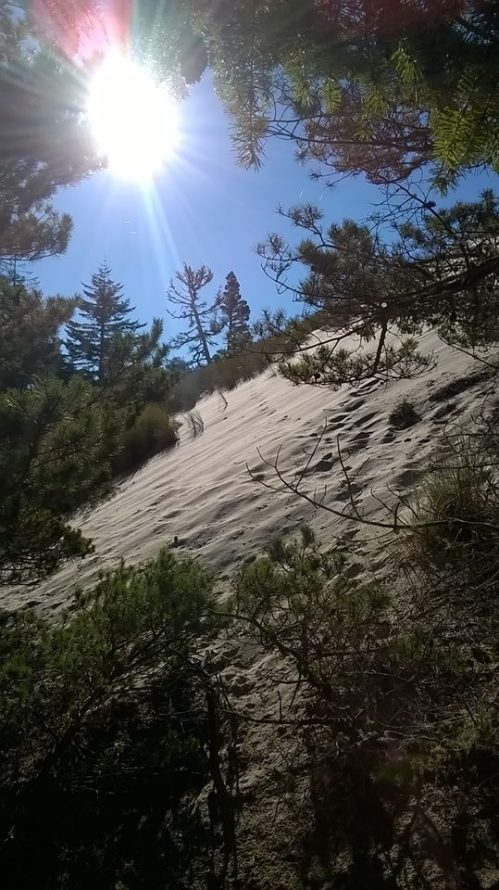 dunes2