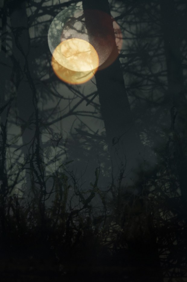 moonlight